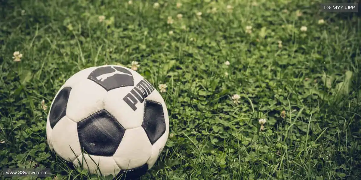 🏆限量珍藏,实力认证!每一件周边,都是荣耀的勋章!